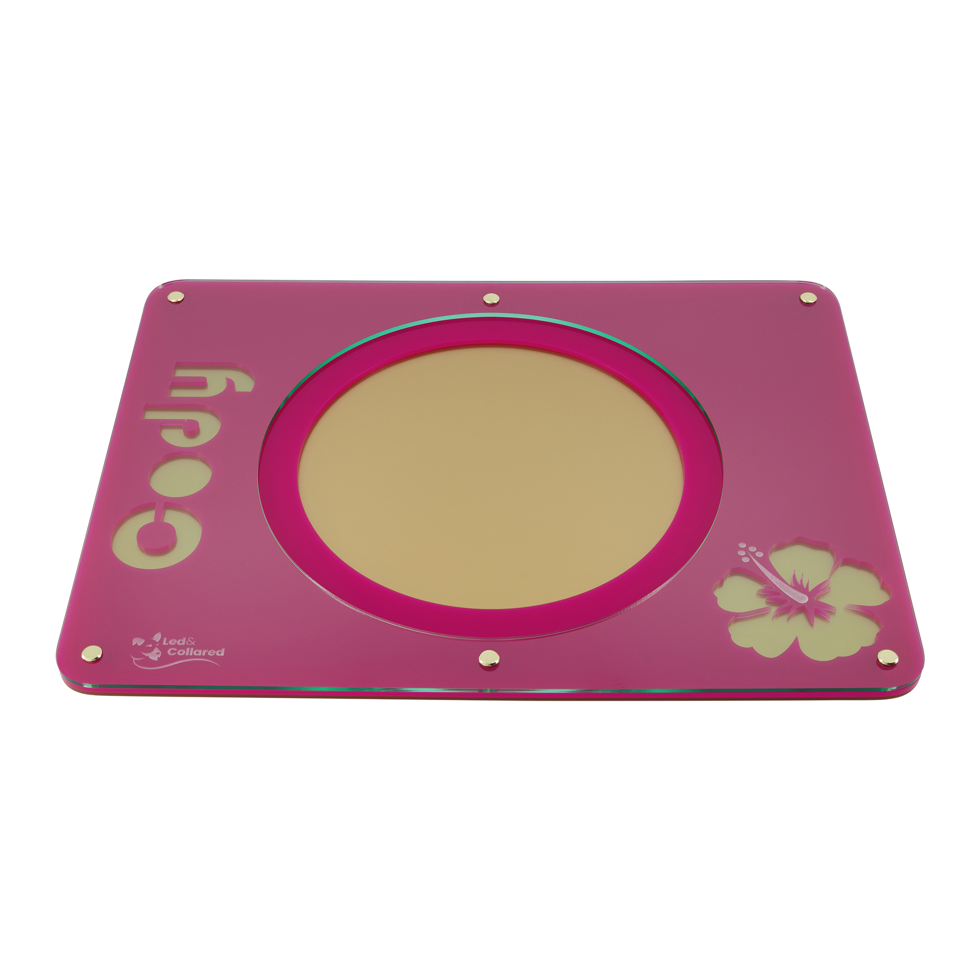 Personalised Dog Feeding Mats & Bowls Led & Collared NZ